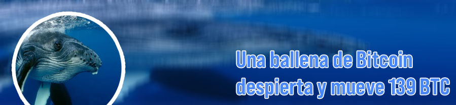 Ballena en criptomonedas