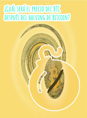 Btc halfing