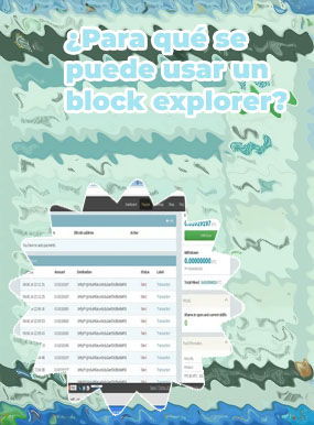 Explorador de bloques btc
