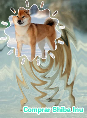 Precio shiba inu en españa